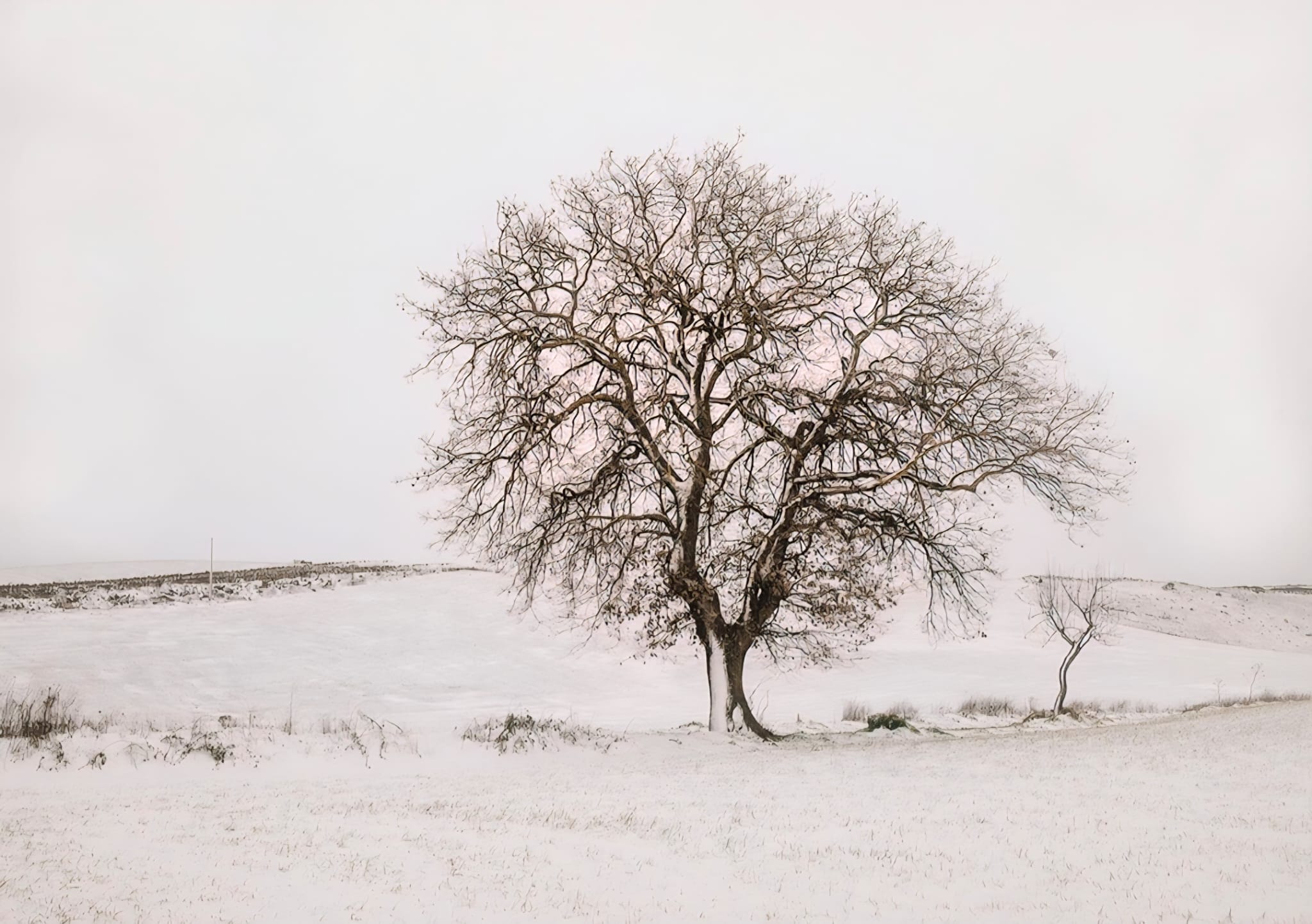 Felic Vallotton le ballon